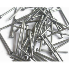 Professional Factory Produce Low Price Common Iron Nail